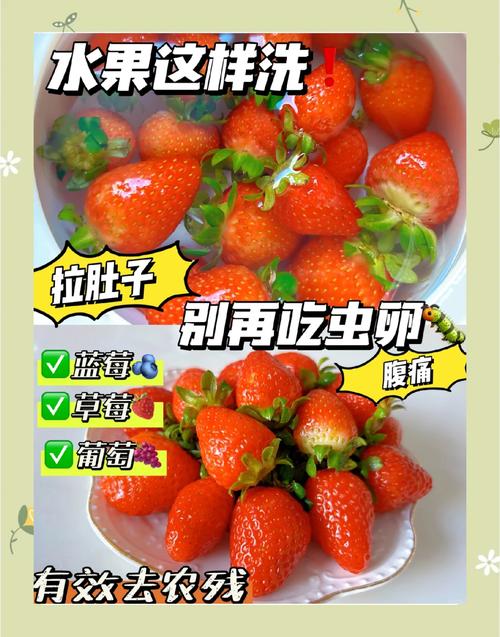 草苺怎么洗干净_保蒂轻洗，小苏打辅助去农残