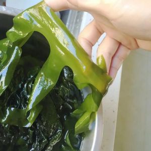 日本海带叫什么_日本料理灵魂食材，富含碘和氨基酸