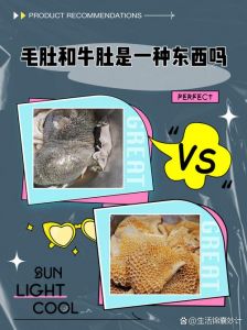 牛肚和毛肚是一个吗_毛肚牛肚哪个好？火锅炖煮都拿手！