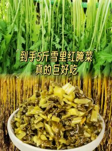 雪菜有亚硝酸盐吗_雪菜亚硝酸盐与食用注意