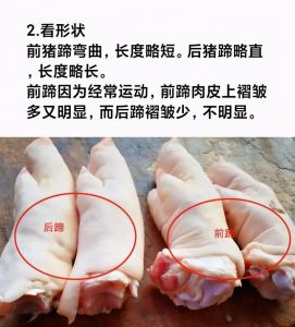 怎样分辨猪蹄前后蹄_区分猪蹄前后蹄，看脚趾关节褶皱和肉质！