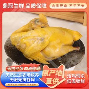 桶子鸡为什么叫童子鸡_卤制童子鸡，非遗美味