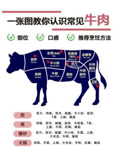 牛肉嫩肉部位_牛肉部位不同，口感各异！