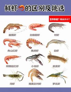 鳌虾和小龙虾的区别_龙虾和鳌虾怎么分辨？