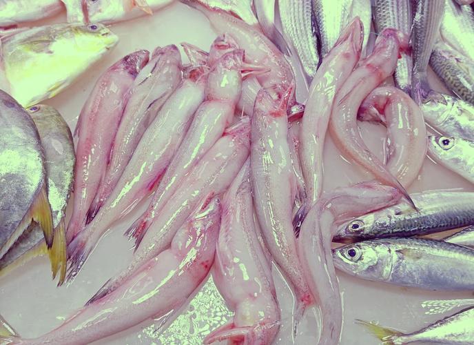 水潺是深海鱼吗_鲜美豆腐鱼,营养又实惠 水潺是深海鱼吗_鲜美豆腐鱼,营养又实惠