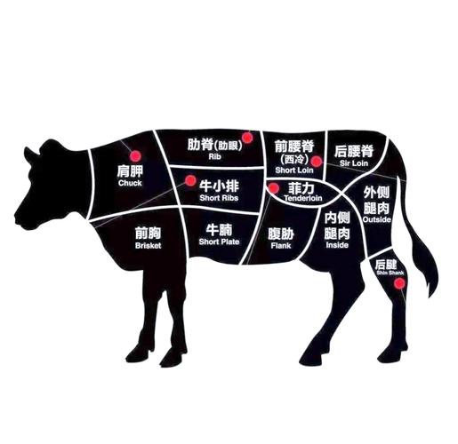 沙朗牛排是哪个部位_沙朗菲力怎么选?牛肉部位口感大不同 沙朗牛排是哪个部位_沙朗菲力怎么选?牛肉部位口感大不同