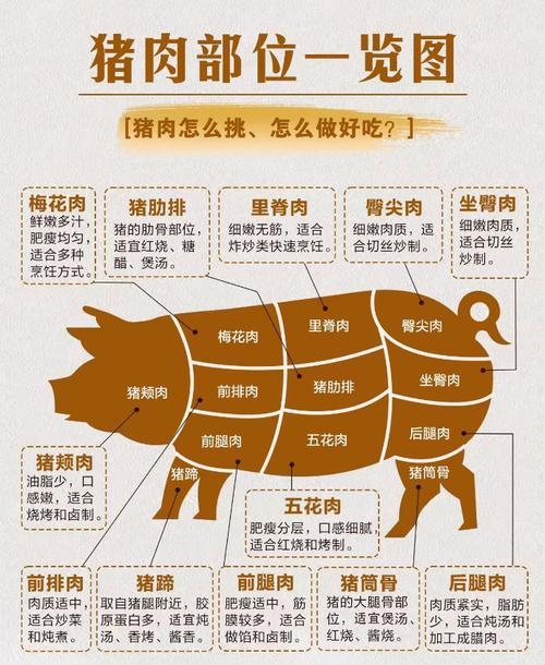 猪里脊肉的位置图_猪肉分大小，大炒小炖保新鲜！
