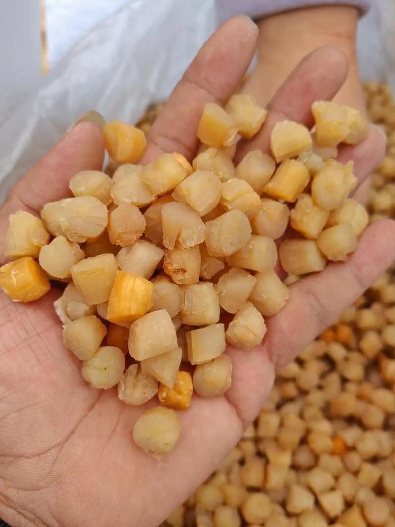 瑶柱为什么叫瑶柱_粤菜珍品，鲜美营养