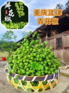 最麻的花椒是什么品种_贡椒最麻，川菜火锅好搭档