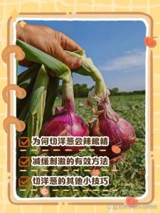 切圆葱怎么才能不辣眼睛_切洋葱不辣眼？试试这几招！