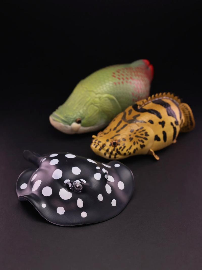 巨骨舌鱼冬天要加温吗_恒温是关键 巨骨舌鱼冬天要加温吗_恒温是关键