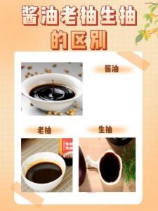 酱油生抽老抽蚝油有什么区别_酱油生抽老抽蚝油哪个好？