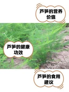 芦笋去皮又快又干净的方法图解_超市芦笋处理有技巧，外软内硬不用愁！