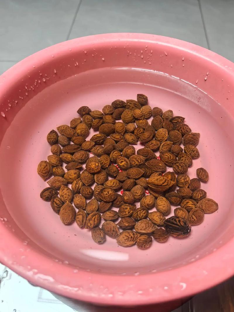 桃核怎么清洗_去除桃胶，保持手串干净！