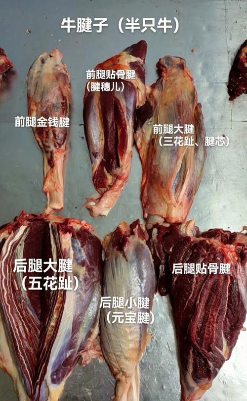 牛腩和牛腱子肉哪个好_牛腩软烂炖煮,牛腱紧实卤制,口感随心选! 牛腩和牛腱子肉哪个好_牛腩软烂炖煮,牛腱紧实卤制,口感随心选!