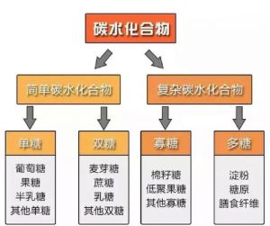 糖是不是碳水化合物_选对碳水很重要