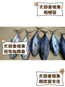 鲔鱼和金枪鱼的区别_别混淆，各有特色