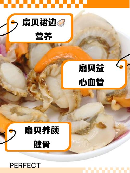 鲜贝柱和裙边扇贝的区别_口感营养大不同 鲜贝柱和裙边扇贝的区别_口感营养大不同
