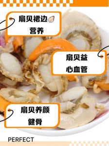 鲜贝柱和裙边扇贝的区别_口感营养大不同