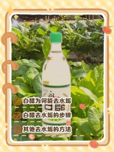 醋洒在地上怎么去除醋味_醋味去无踪，通风炭吸附