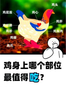 鸡肫是鸡的什么部位_鸡肫怎么吃？营养美味又易消化