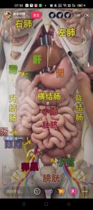 排便的肠子叫什么_预防炎症息肉癌变