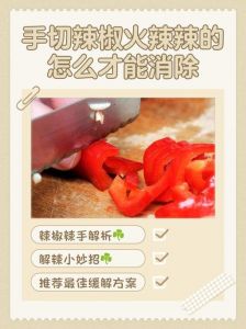 菜辣了怎么去辣味_吃辣没味了？糖醋牛奶米饭油来解！