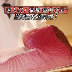 最顶级的金枪鱼叫什么_蓝鳍金枪鱼鲜甜极致！