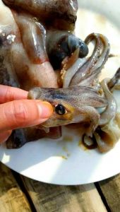 鱿魚焯水几分鐘_鱿鱼焯水多久？30秒至1分钟变熟