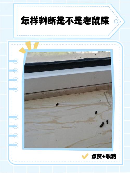 鸸鹋雏鸟粪便照片图解_肉油皮蛋价值高，成特色产业