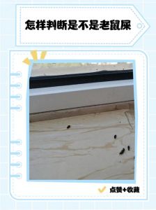 鸸鹋雏鸟粪便照片图解_肉油皮蛋价值高，成特色产业