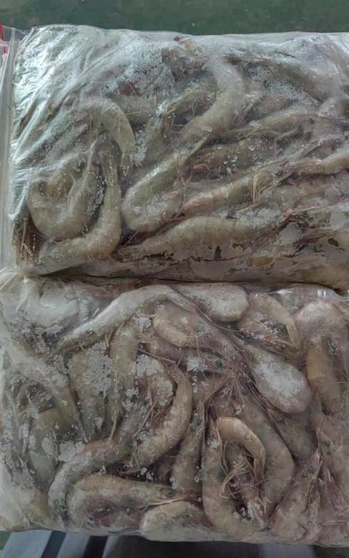 国产白对虾是海虾吗_淡水养殖，肉质细嫩，新鲜活虾，适合多种烹饪