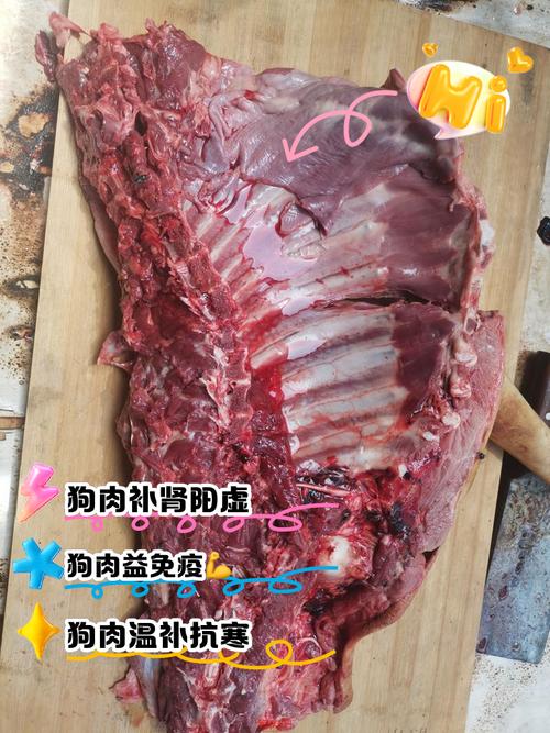 狗肉俗称什么肉_传统美食与争议的交织 狗肉俗称什么肉_传统美食与争议的交织
