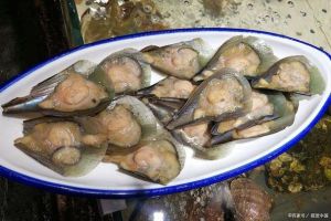 海鲜带子的肉叫什么_鲜美营养，清蒸煲汤皆可