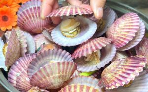 红贝蒸多长时间熟_蒸红贝多久？8-10分钟看大小，筷子戳开就熟了！