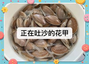 花甲不张嘴吐沙怎么办_盐水泡花甲去沙，勤换水保新鲜