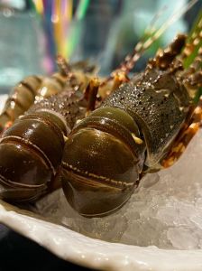 小青龙就是小龙虾吗_小青龙与小龙虾的区别及养殖前景