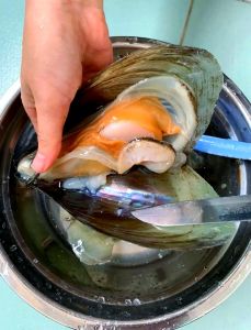 海鲜带子怎么杀图解_刷壳去杂，清蒸香煎真美味！