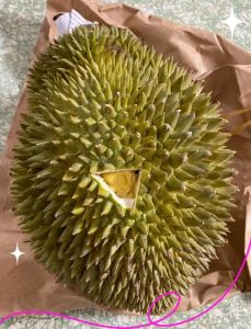 榴莲怎么判断熟没熟_黄肉香浓稍软按蒂辨品种