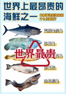 鲔鱼就是金枪鱼吗_鲔鱼金枪鱼哪个好？营养价值与选购指南