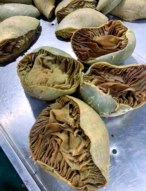 牛肚是牛百叶吗_牛肚牛百叶有区别，焯水炒百叶口感佳