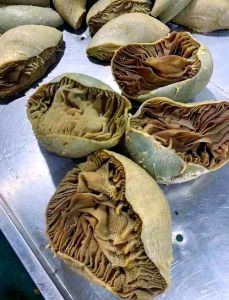 牛肚是牛百叶吗_牛肚牛百叶有区别，焯水炒百叶口感佳