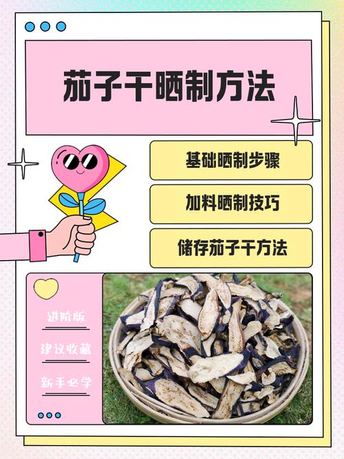 晒茄子干的正确方法_茄子干三蒸三晒,耐心晒出好滋味 晒茄子干的正确方法_茄子干三蒸三晒,耐心晒出好滋味
