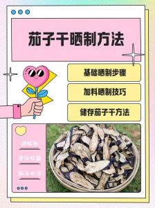 晒茄子干的正确方法_茄子干三蒸三晒，耐心晒出好滋味