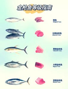 鲣鱼和金枪鱼的区别_鲣鱼柴价亲民，金枪鱼贵嫩适寿司