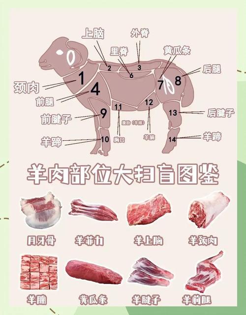 羊各部位名称图解_羊肉各部位做法全攻略