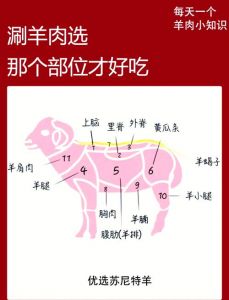 羊各个部位详细图解_羊肉不同部位做法全攻略