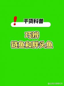 鲢鳙和鲢鱼的区别图片_鲢鱼和鳙鱼怎么区分？头大小斑点食性大不同