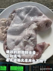 猪肚脂肪含量高吗_低脂高蛋白猪肚，胆固醇高要适量吃