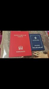 小妈你真棒里面的插曲免费观看：了解其背后的音乐文化与魅力